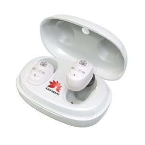 VHP-1607B In-ear Hearing Aid Sound Amplifier
