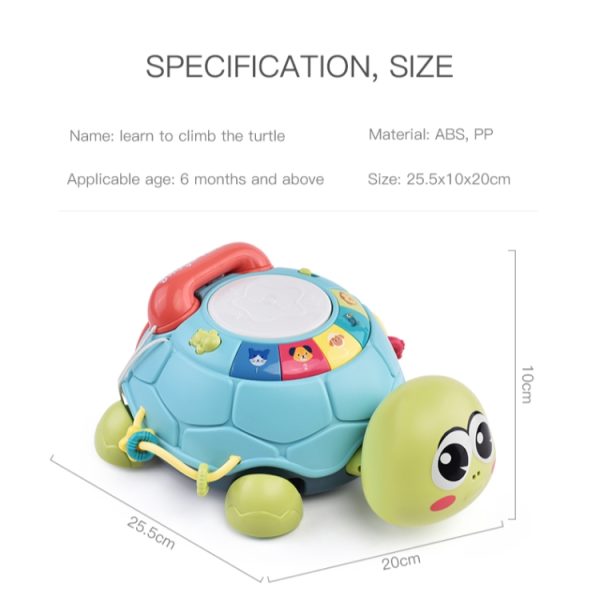 6 in 1 Electric Multifunctional Early Education Turtle - Image 2