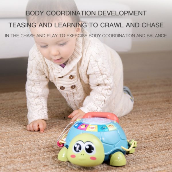 6 in 1 Electric Multifunctional Early Education Turtle - Image 4