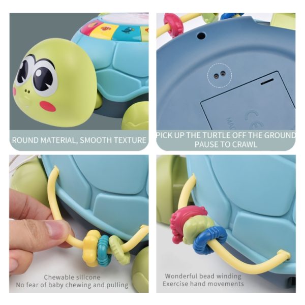 6 in 1 Electric Multifunctional Early Education Turtle - Image 7