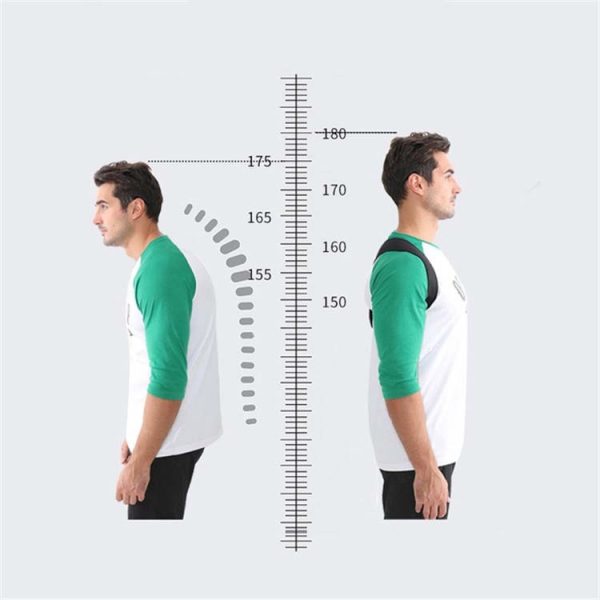 Shoulder With Chest Back Posture Corrector Belt - Image 3