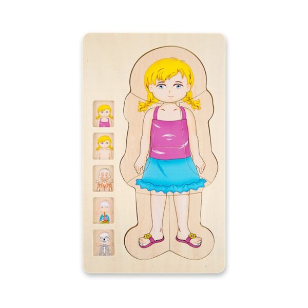 Onshine Five-Layer Human Body Structure Puzzle Wooden Puzzles For Children - Image 3