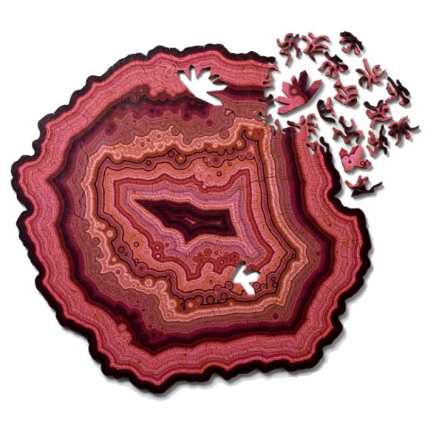 Allotype Agate Puzzle Difficult Wooden Jigsaw Puzzle Toy - Image 3