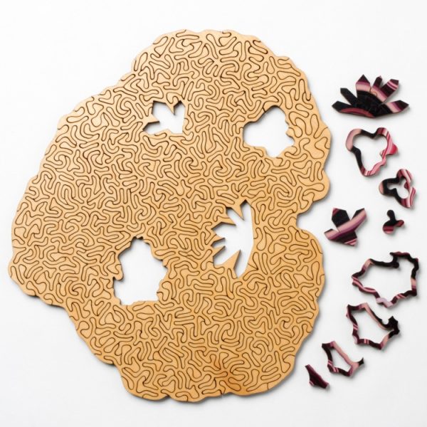 Allotype Agate Puzzle Difficult Wooden Jigsaw Puzzle Toy - Image 9