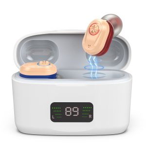 Z-127D In-ear Sound Amplifier Digital Display Hearing Aid