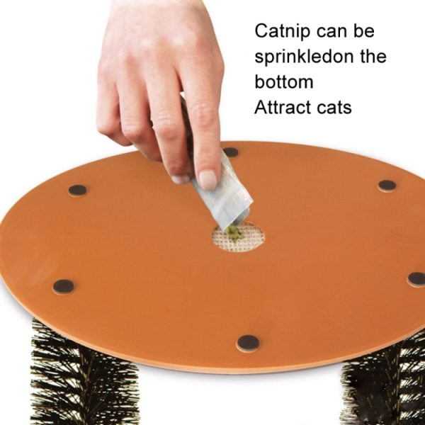 Cat Hair Brush Scrubber Toy – Image 3