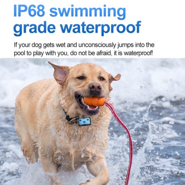GPS Wireless Cat Dog Collar Anti-loss Locator – Image 5